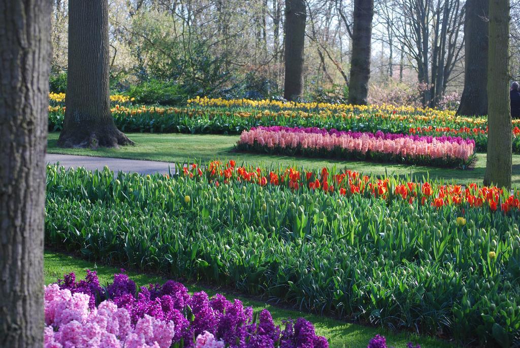Vakantiepark Delftse Hout Экстерьер фото
